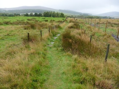 Foto A3 The Speyside Way bei Tormore Cragganmore\/NJ1636 c2017