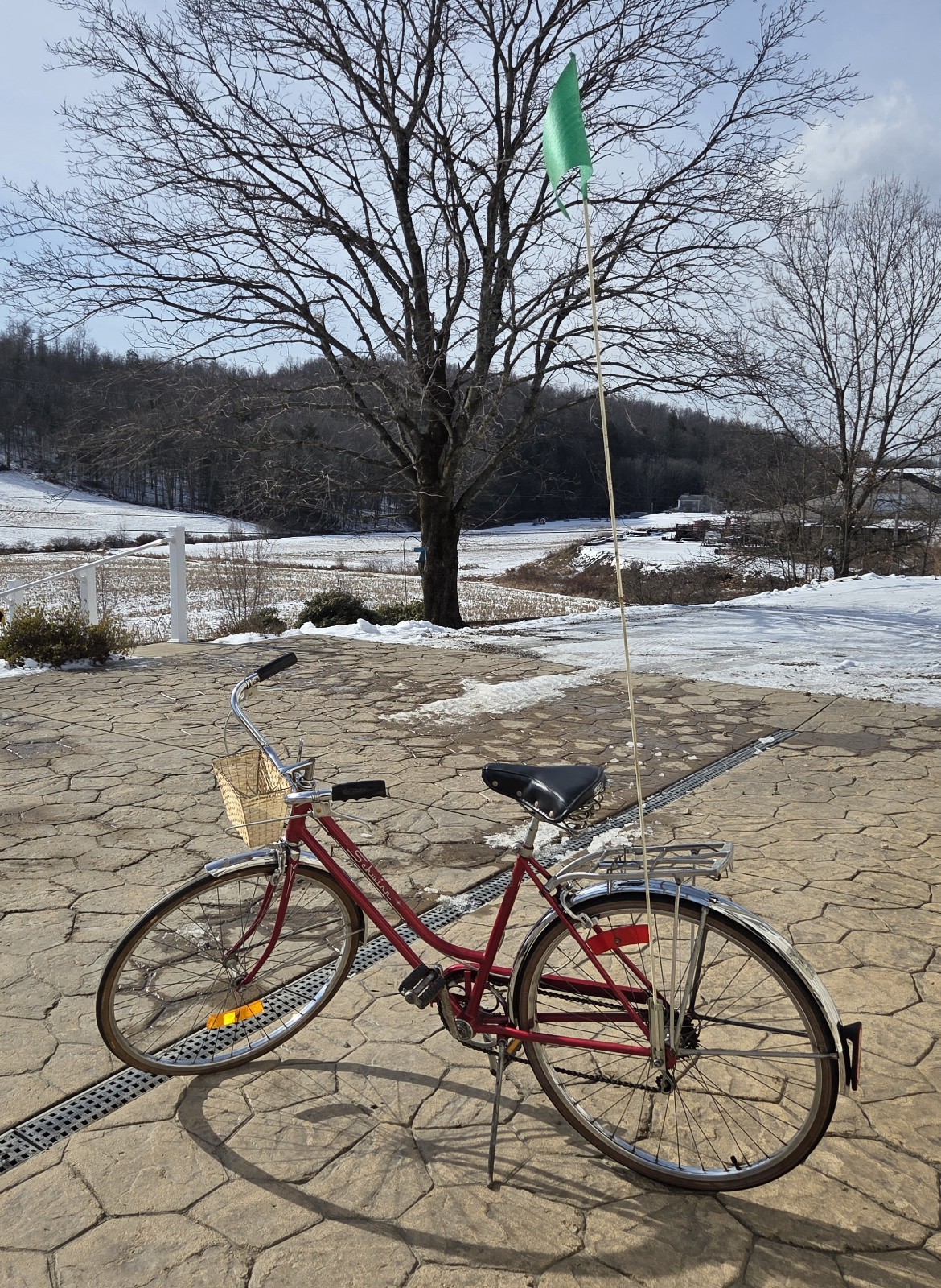 (Used) 1973 - 74 Schwinn Colgate Bicycle.  Flamboyant Red. Very Nice Condition.  (20.00 USD)
