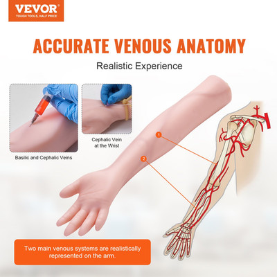 Phlebotomy Practice Kit   High Simulation IV Practice Arm Kit for Students, Nurs