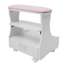 Foot Rest Pedicure Manicure Funiture Trolley Footbath Stool With Four Wheels — photo 7