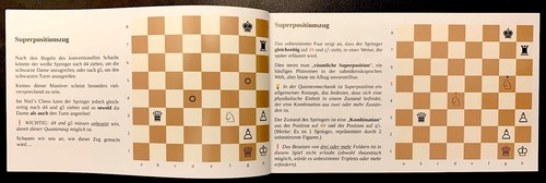Niel's Chess: The Battle of the Quantum Age / Die Schlacht des Quantenzeitalters - Bild 17 von 19