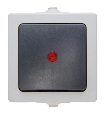 Kopp Nautic Kontrollschalter, Aufputz, für Feuchtraum, 250V (10A), IP44,grau