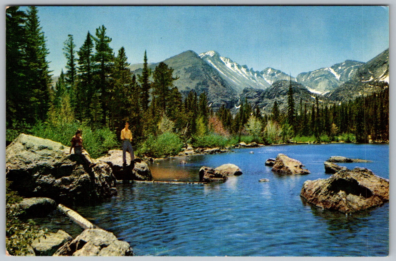 Vtg Postcard Longs Peak & Bear Rocky Mountain National Park, CO 1950s