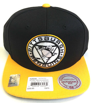 Pittsburgh Penguins Vintage Paintbrush Black Snapback