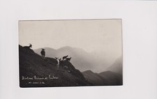 Surroundings BALMA di FRABOSA Wedge - Goats - Photographic - Travelled 1937!