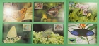 DR WHO TAIWAN CHINA 6 FDC MAXIMUM CARD BUTTERFLY R63121