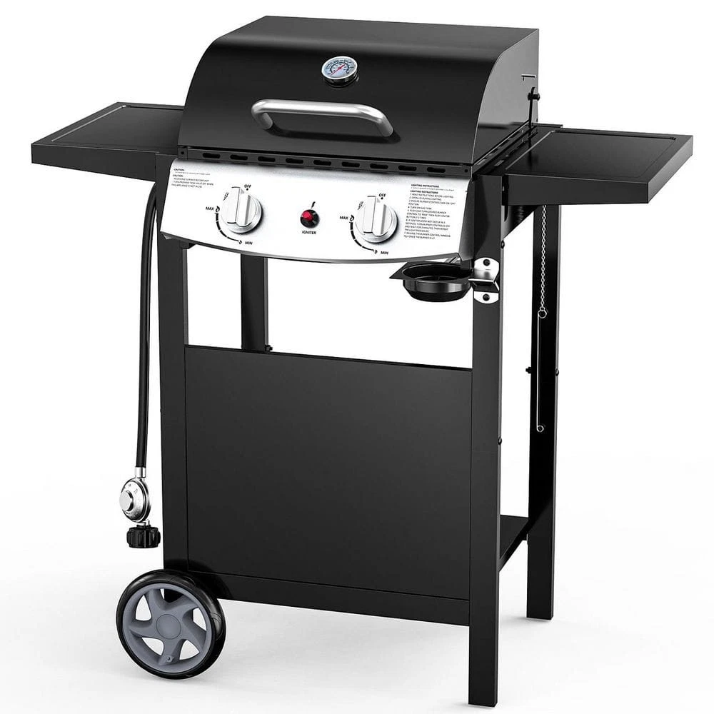 2-Burner Portable Propane Gas Grill | Stainless Steel, Black, 20,000 BTU