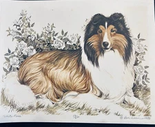 Shetland Sheepdog Signed Limited Edition Print By Martha Van Loan 8x10