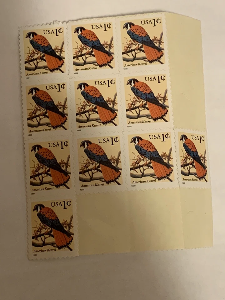 American Kestrel Sheet 1999 of 11 1¢ Stamps  VF Penny Stamp Unhinged MNH - Image 3 of 4