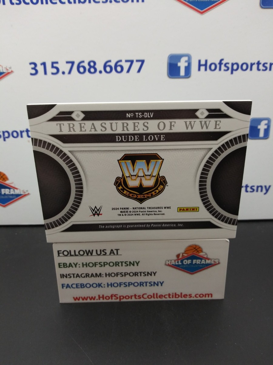 世界49枚！Panini National Treasures ファン バステン Amazon.co.jp: 世界49枚！Panini National Treasures ファン