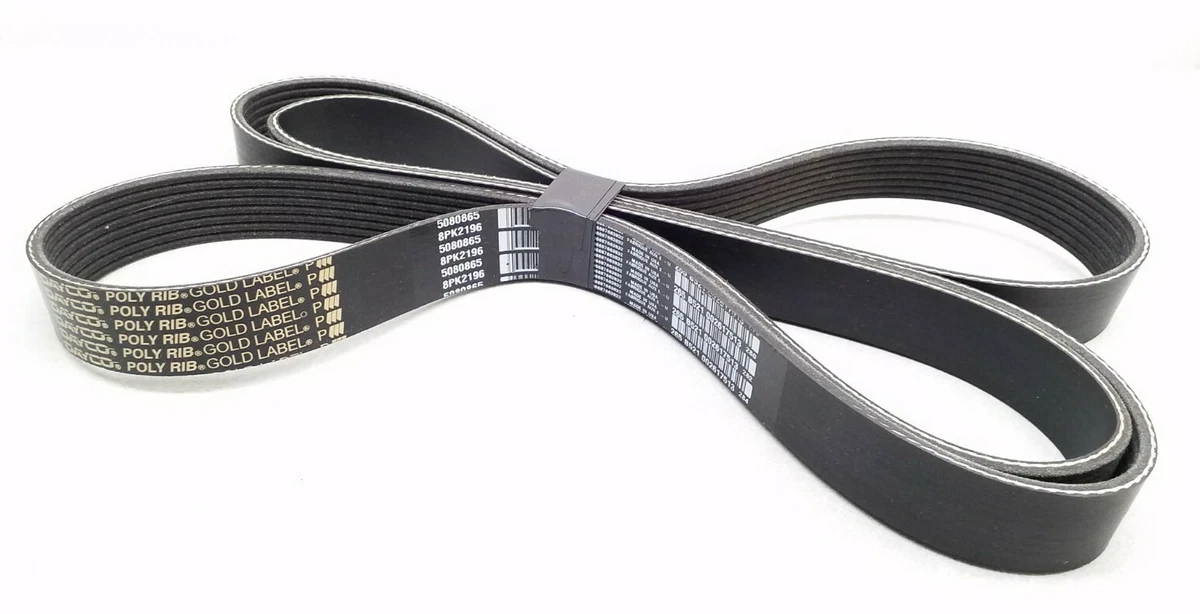 Dayco poly rib hot sale belt