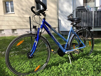 Pegasus Frauen Fahrrad in Blau