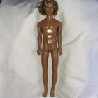 Vintage 2004 Barbie Blaine Cali Guy Surfer Barbie Doll G8667 Ken