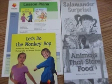Flying Start to Literacy Lesson Plans/Books Set