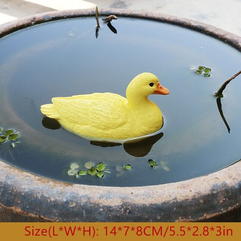 Bild 13 von 21