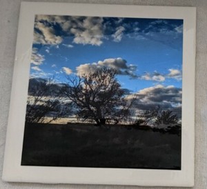 6-x-6-Ceramic-Tile-Coaster-trivet-original-Photography-with-glossy-coat-handmade