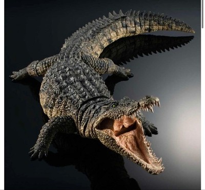 the-diversity-of-life-on-earth-ultimate-nile-crocodile-ebay-australia