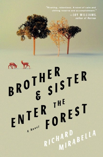 Brother & Sister Enter The Forest: A Novel by Richard Mirabella HARDBACK