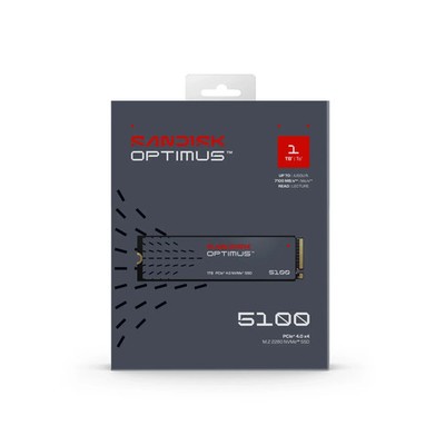 SANDISK Optimus 5100 1TB NVMe SSD - M.2 2280, PCIe Gen 4.0, Internal Solid State