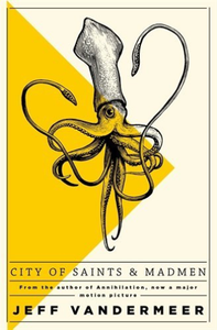 jeff vandermeer city of saints jeff vandermeer city of saints