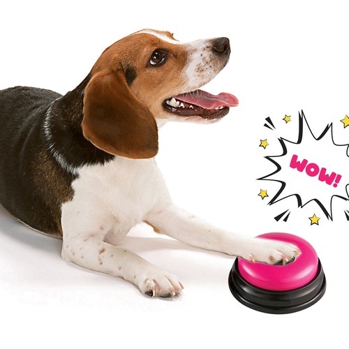 Small Size Easy Carry Voice Recording Sound Button for Kids Interactive E7R5 - Picture 2 of 11
