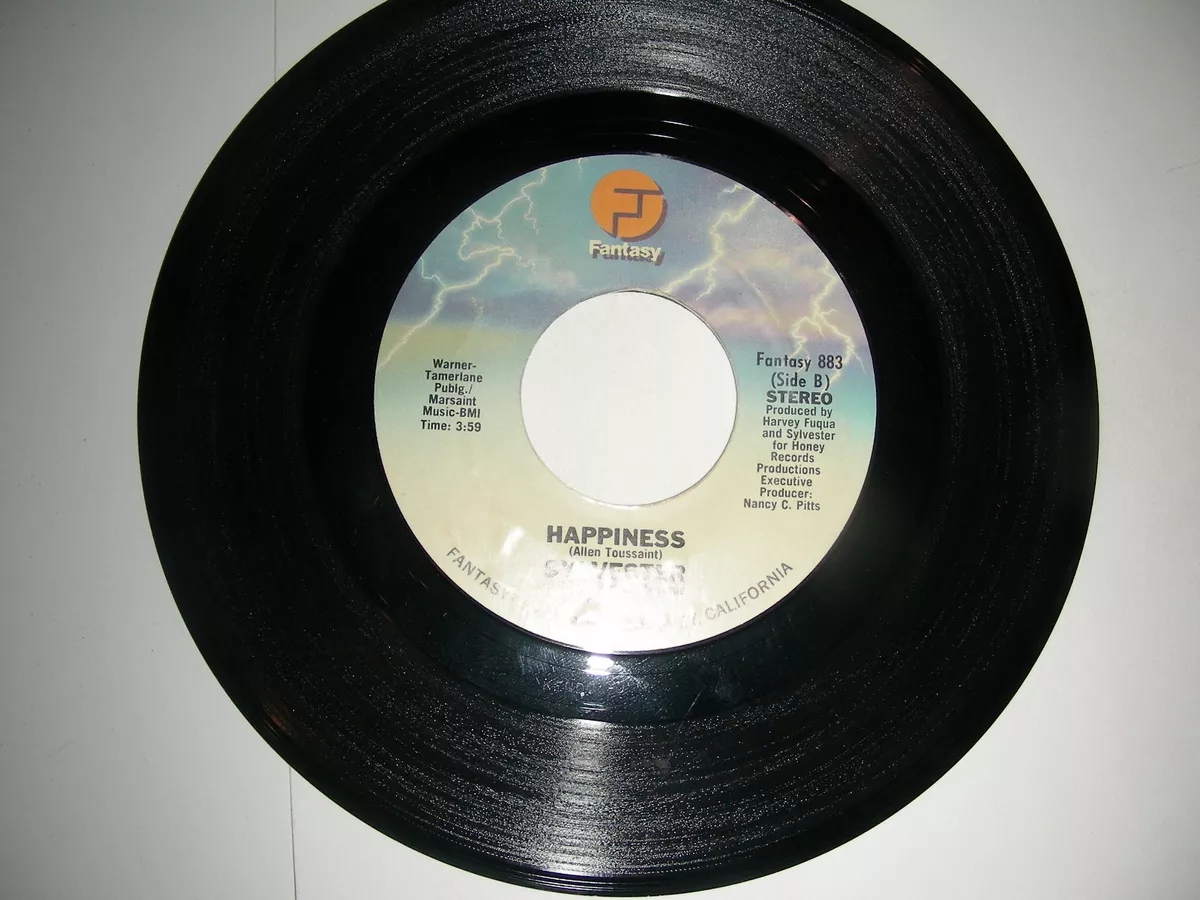 Disco 45 Sylvester - You Are My Friend / Happiness Fantasy VG+ 1979