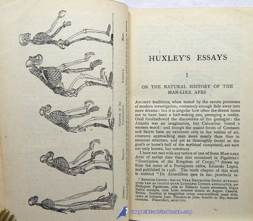 Der Platz des Menschen in der Natur von Thos. H. HUXLEY: sehr guter Zustand + Everyman's Library HC/VG DJ 89081 - Bild 4 von 5
