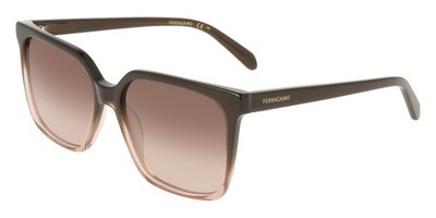 Ferragamo Sonnenbrille SF2102S Clear brown gradient 57/16/145 Damen