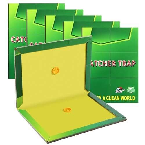 Sticky Traps Pest Traps Boards - Large Extra Strong  Assorted sizes