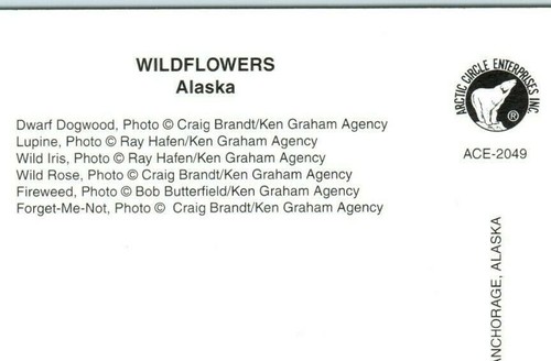 Alaska Flowers Dogwood Lupine Wild Iris & Rose Fireweed Forget-Me-Not Postcard - Picture 4 of 4