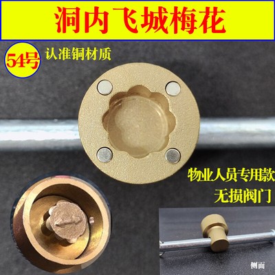 Valve key, heating system, underfloor heating, magnetic locking valve, switch w