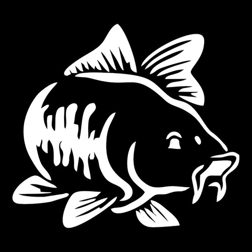 Karpfen Fisch Aufkleber 14,5x12 Auto Sticker Angelsticker Angeln Fish Fishing - 第 4/8 張圖片