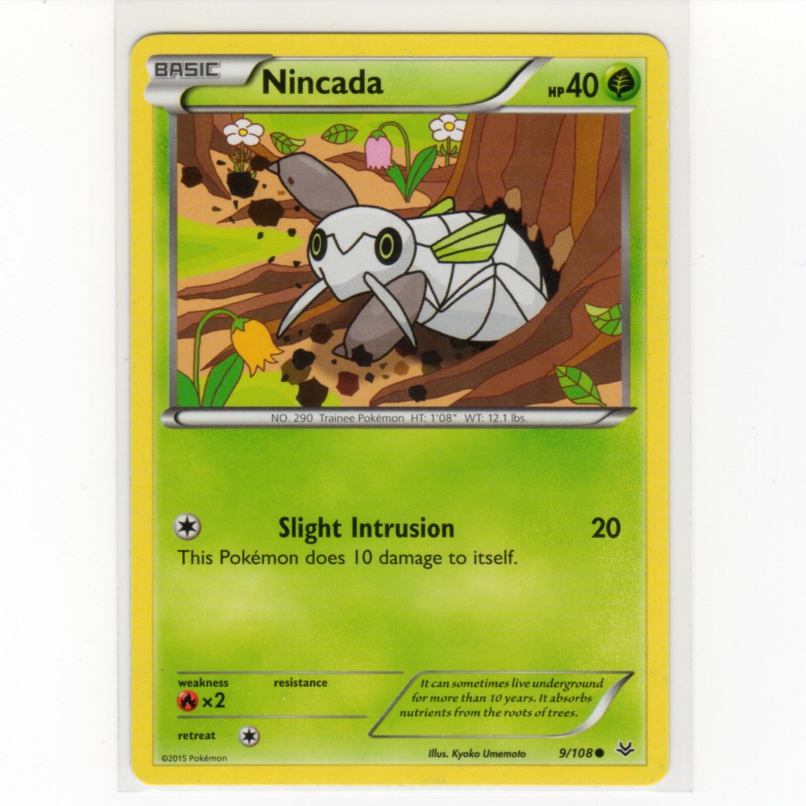 Pokemon TCG Nincada 9/108 XY Roaring Skies Regular Common Card EN-LP 2015