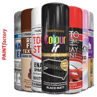 All-Purpose Aerosol Spray Paint Matt Gloss Satin Primer Metal Wood Plastic - B2