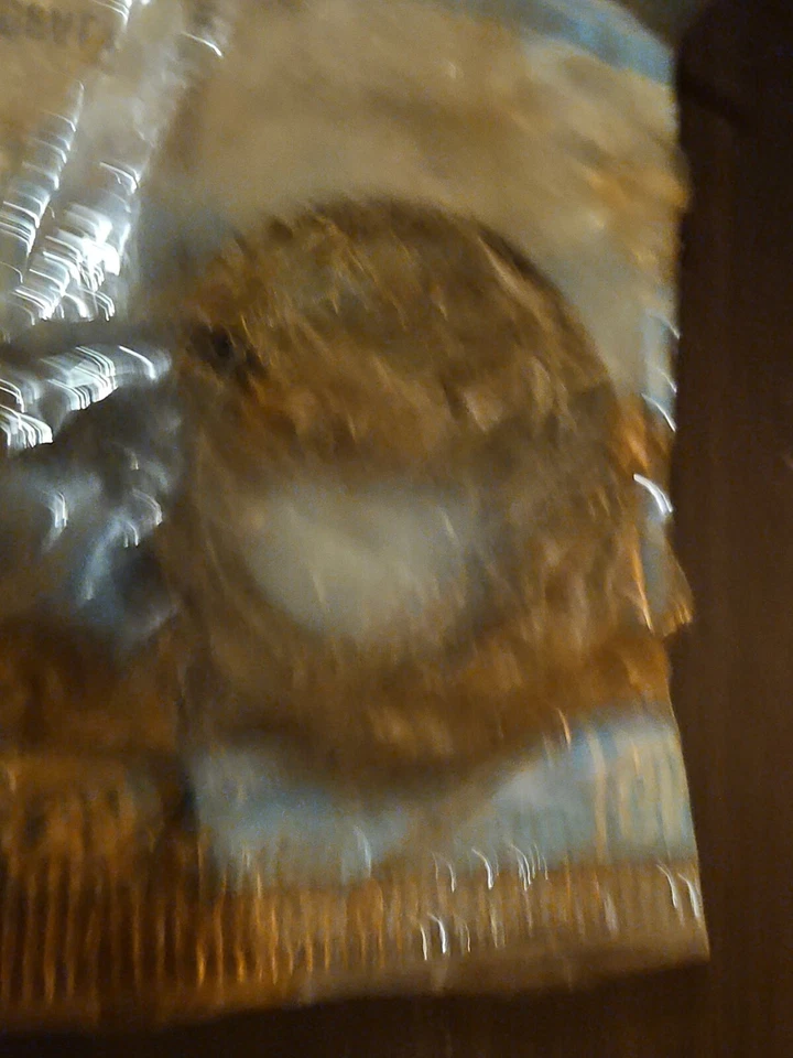 NOS GM 14071721 4X4 SEAL 83-92 Chevy/GMC/S10/S15 Truck/Blazer Jimmy (1) - Image 3 of 4