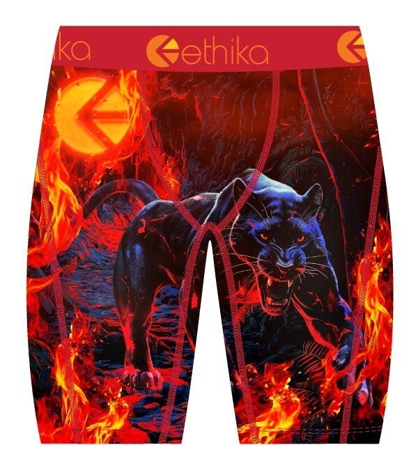 Совершенно новый спортивный костюм-боксер Ethika Staple Brief Firewalker