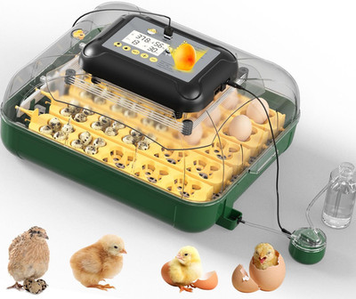 25 Egg Automatic Incubator with Humidity Display & Candler for Chickens
