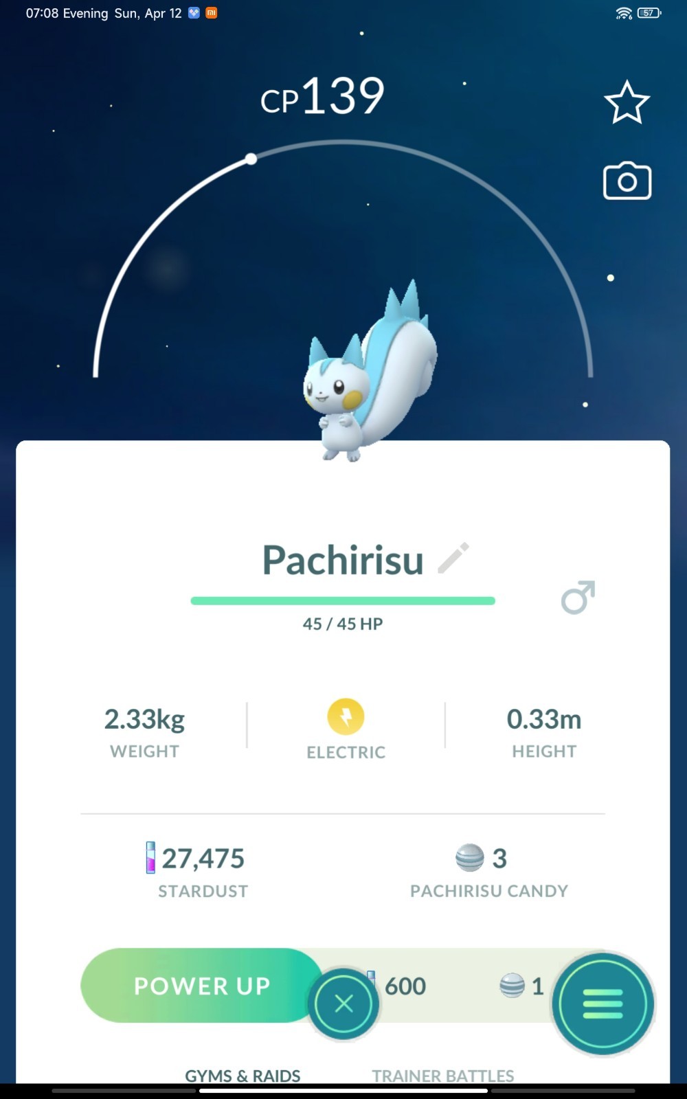 Pachirisu #417 Pokémon GO | Fast Delivery