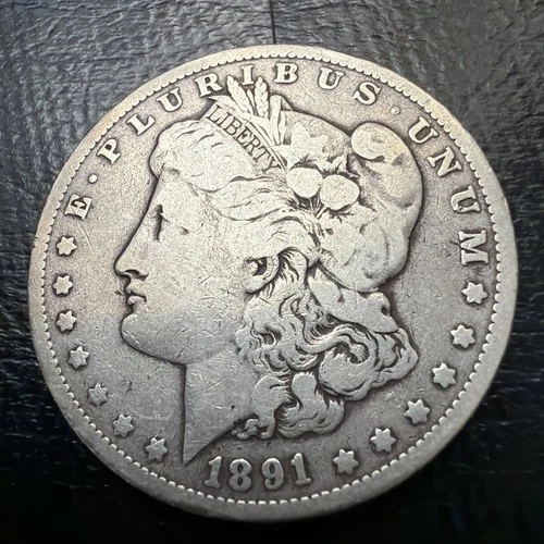 VG/F 1891 (P) Morgan Silver Dollar (1 coin)