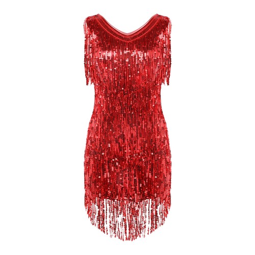 Women's Sequins Tassel Dress Latin Jazz Rumba Tango Cha Cha Tango Dance AU - Picture 5 of 118