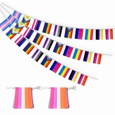 2 Set All Pride Rainbow Gay Flags Banner String Bunting LGBTQ Decoration,64 F...