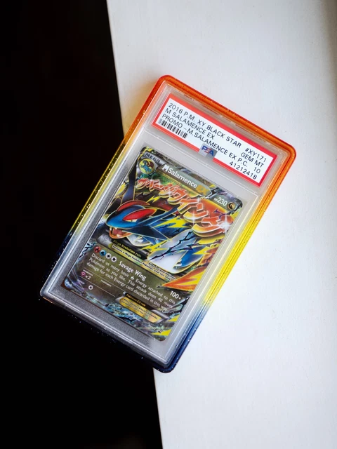 M Salamence EX