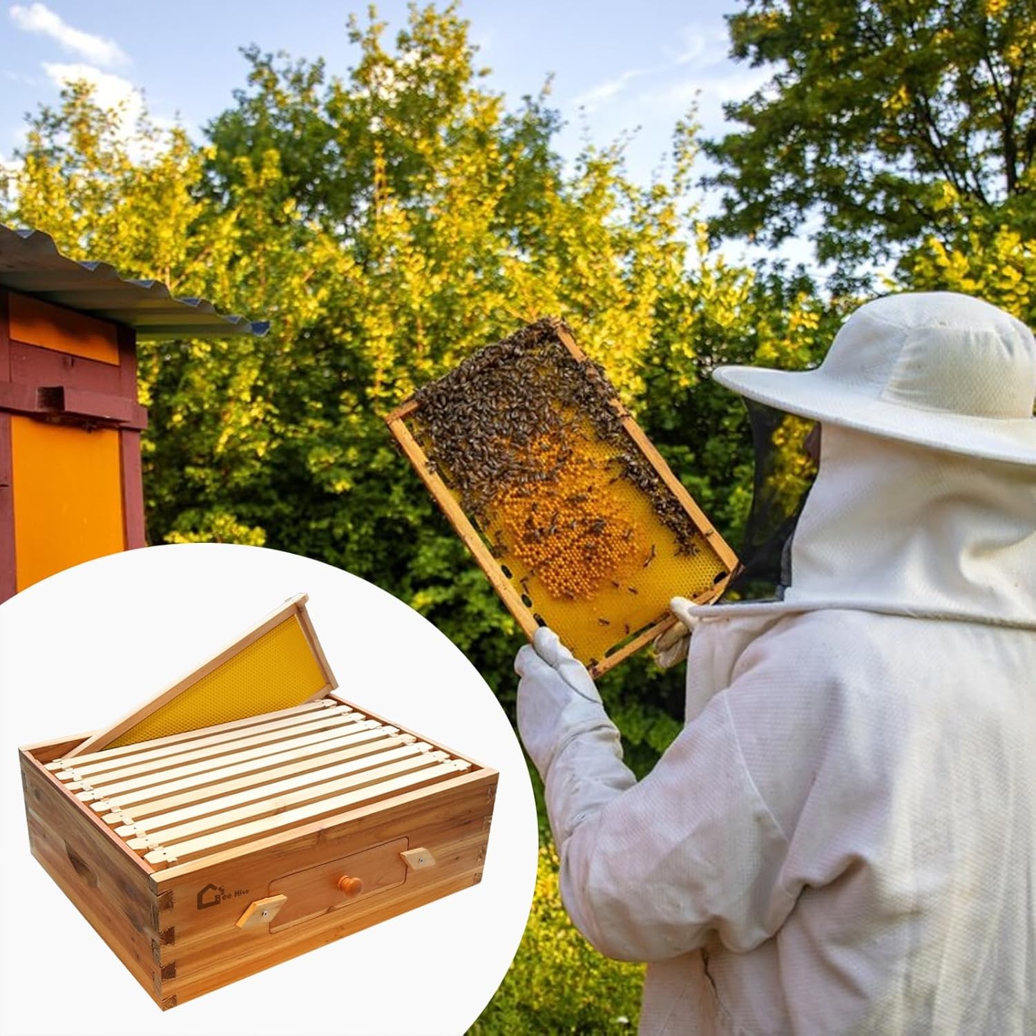 10-Frame Beehive Box Langstroth Medium Super Bee Box for Beekeeping Supplement