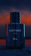 Christian Dior Sauvage Elixir 3.4oz / 100ml -NEW & SEALED-FAST SHIPPING