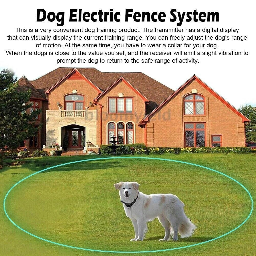 Electrified fence top for dogs
