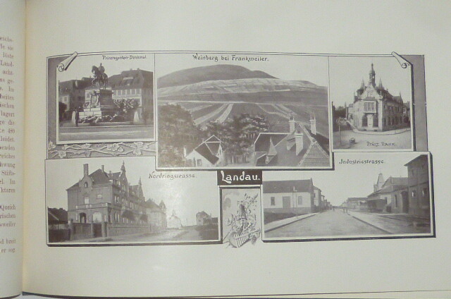 Picture 10 of 12
