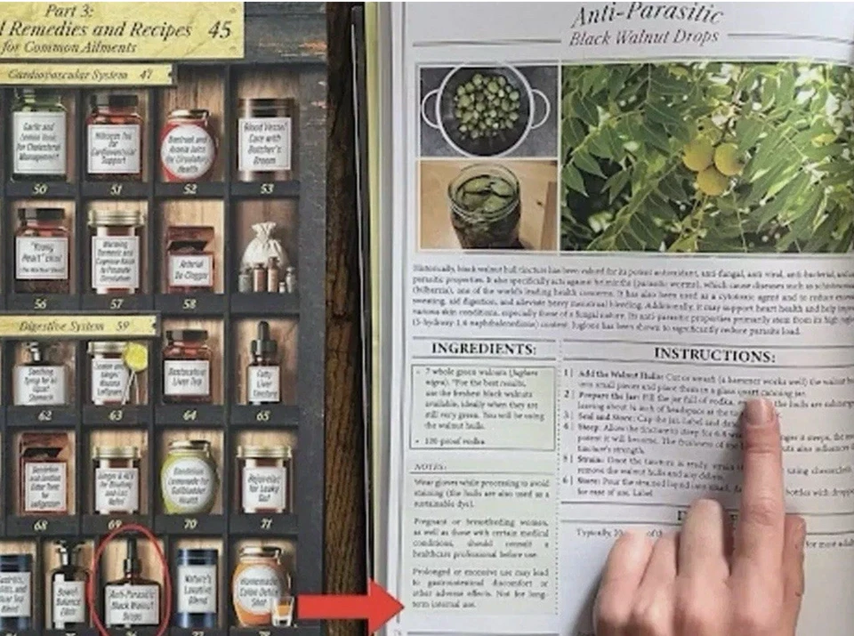 The Holistic Home Apothecary 250 Forgotten Remedies: Natural & Herbal Solutions - image 4 of 4