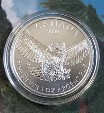 2015 Canada 9999 Silver 1 Oz. Great Horned Owl W/Capsule - 1 Ea - Pure Silver BU