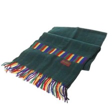 KENZO Muffler Fringe Logo Double Face Rainbow Stripe Green Men s