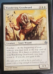 Wandering Graybeard - Morningtide